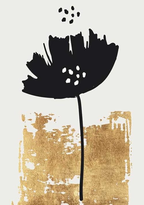 Black Poppy - Kubistika