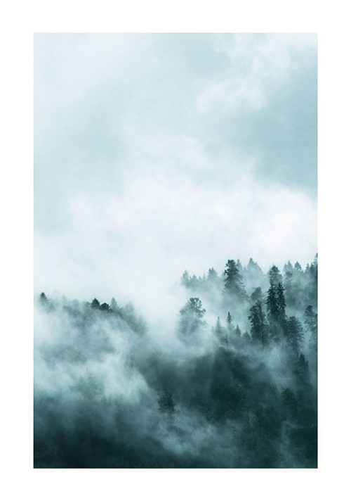 Foggy forest 1