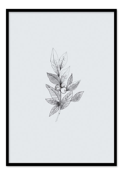 Leaf with Berry Black and White - Claudia Talley
