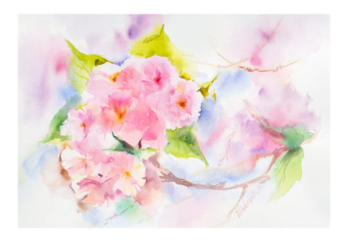 Cherry Blossom - Natalia Galnbek
