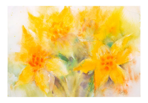 Daffodils - Natalia Galnbek