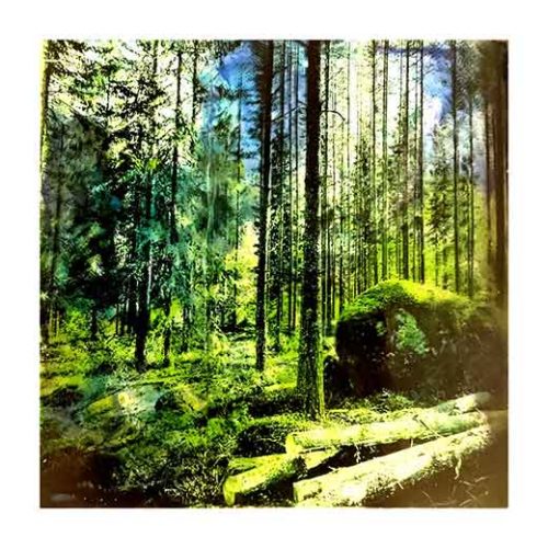 Forest I - Teppo Korte