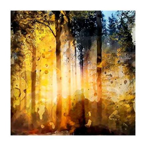 Forest III - Teppo Korte
