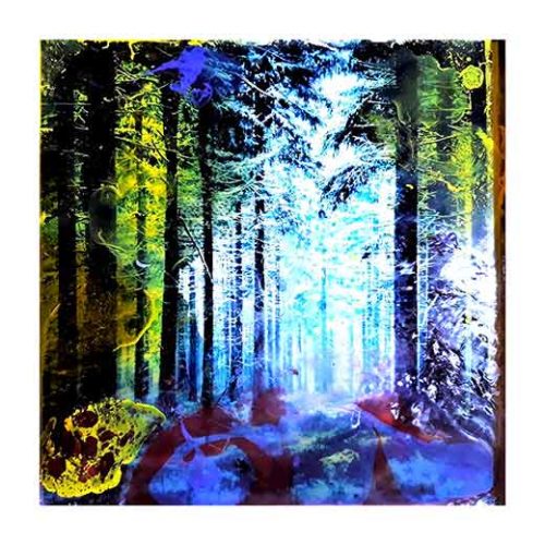 Forest IV - Teppo Korte