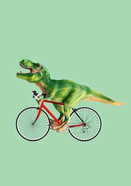 Dino Bike - Jonas Loose