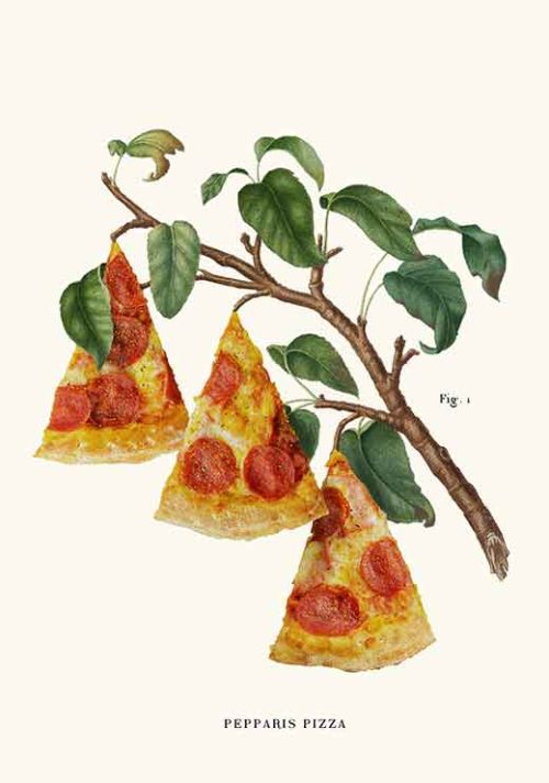 Pizza Plant - Jonas Loose