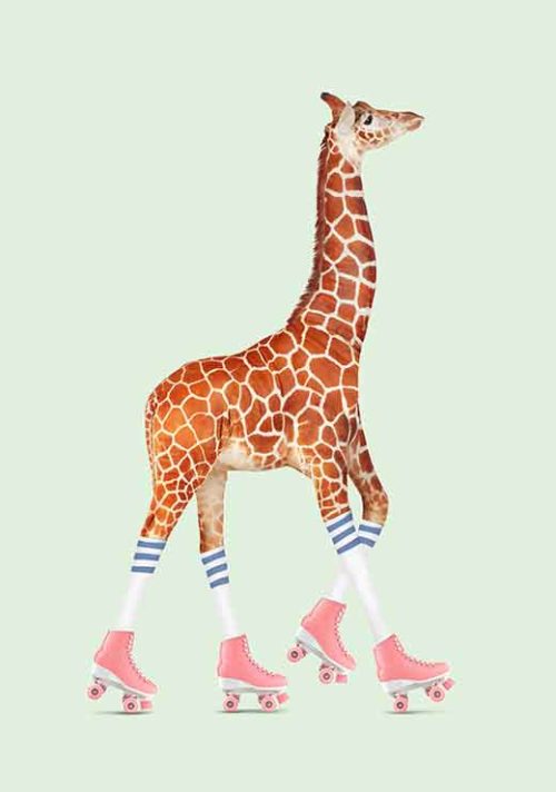 Rollerskating Giraffe - Jonas Loose