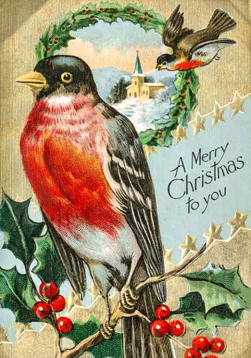 Vintage Christmas Bird
