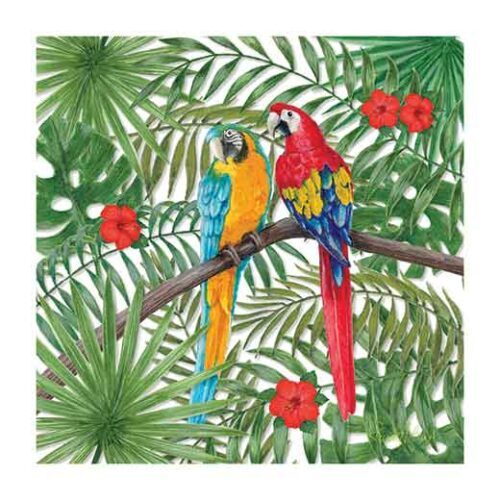 Tropical Forest With Parrots - Renate Holzner