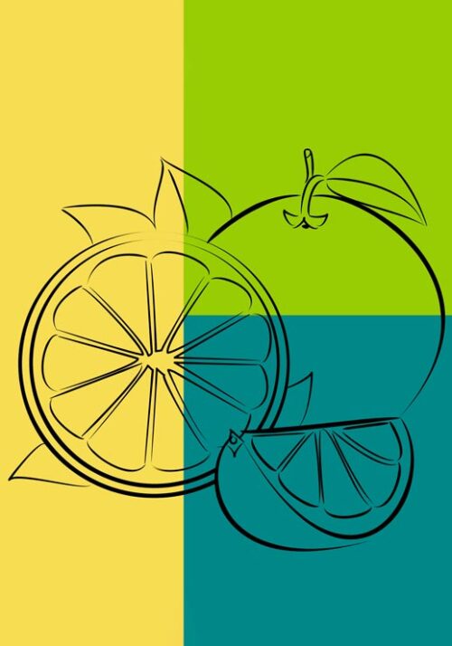 Citrus Fruit - Sannel Larson