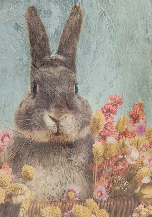 Floral Bunny - Art By Mariann