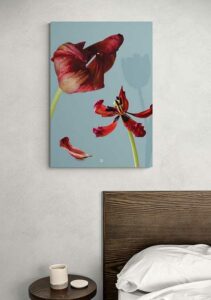 Red Tulip Wither - FRA SØS