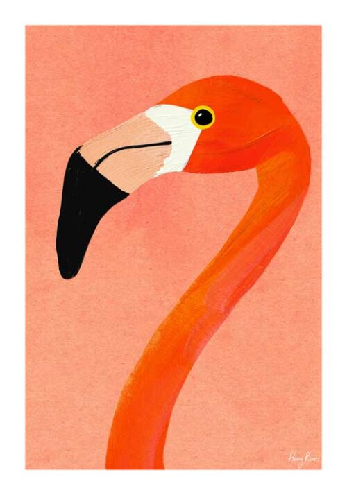 Flamingo - Henry Rivers
