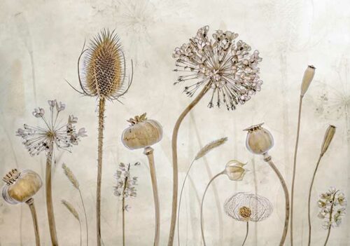Growing Old - Mandy Disher