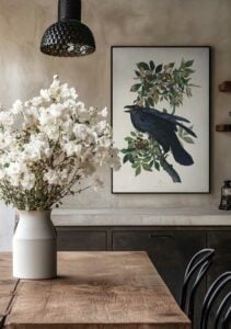 Raven - Birds of America (1827)