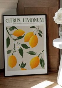 Citrus Limonum