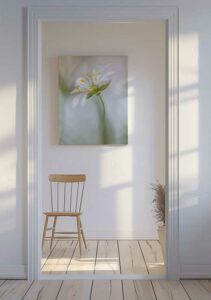 Stitchwort Soft - Mandy Disher