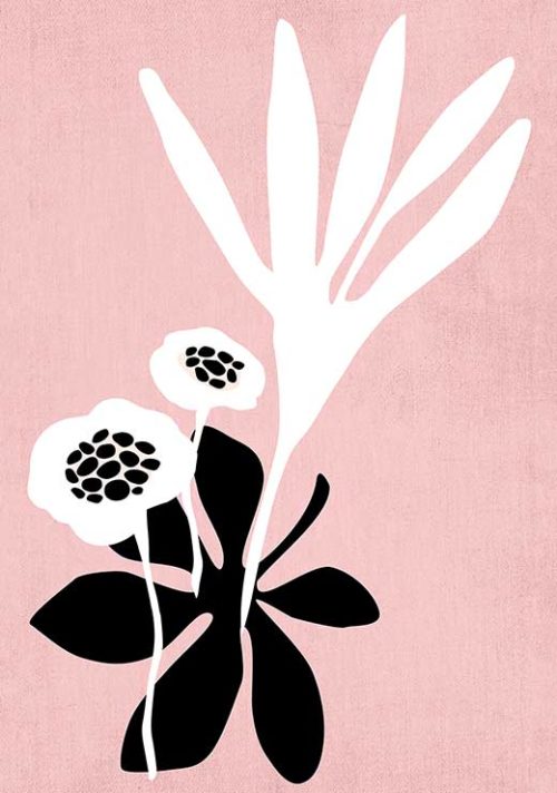 Pink Blossom - Kubistika