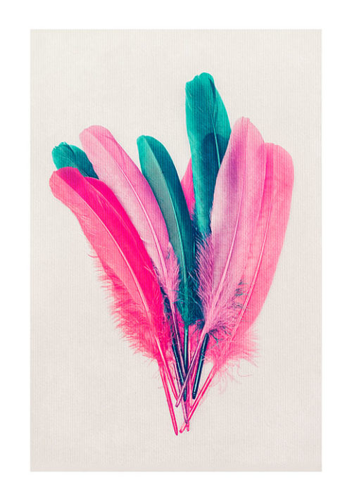 Feather Bouquet - Kubistika