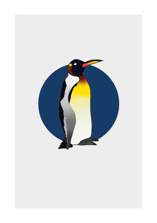 King Penguin - Claudia Talley