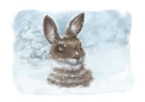 Snow on Fur Hare - Amanda Petersen
