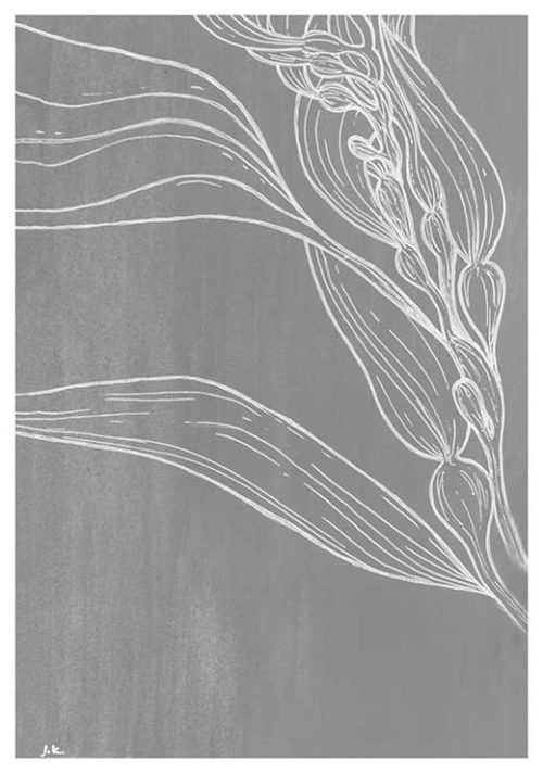 Under the Sea #2 BW - Agave Designs