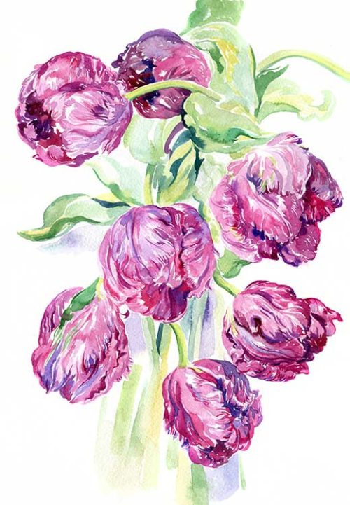 Purple Tulips - Daria Galinski