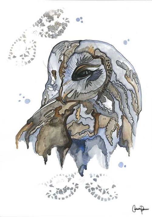 Soren Owl - Cathrine Doreen