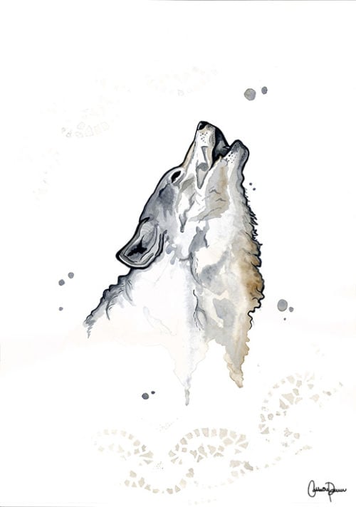 Wolf Akela - Cathrine Doreen