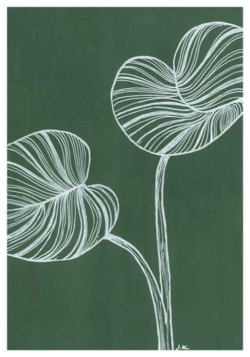 Philodendron - Agave Designs