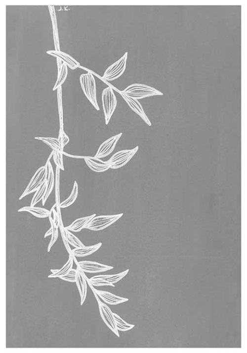 Italy Vine BW - Agave Designs