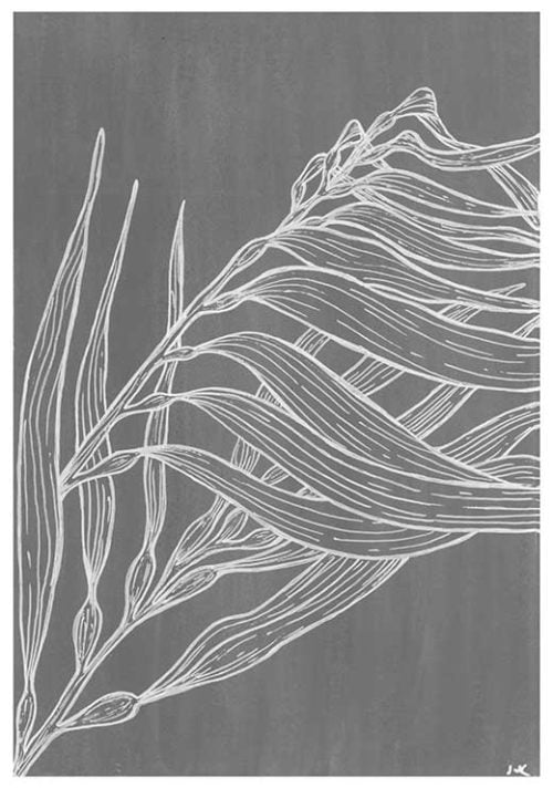 Under the Sea #3 BW - Agave Designs